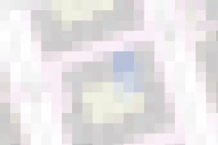 Turnhoutplantsoen 47 Amsterdam thumbnail 40