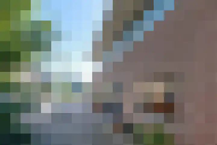 Turnhoutplantsoen 47 Amsterdam thumbnail 7
