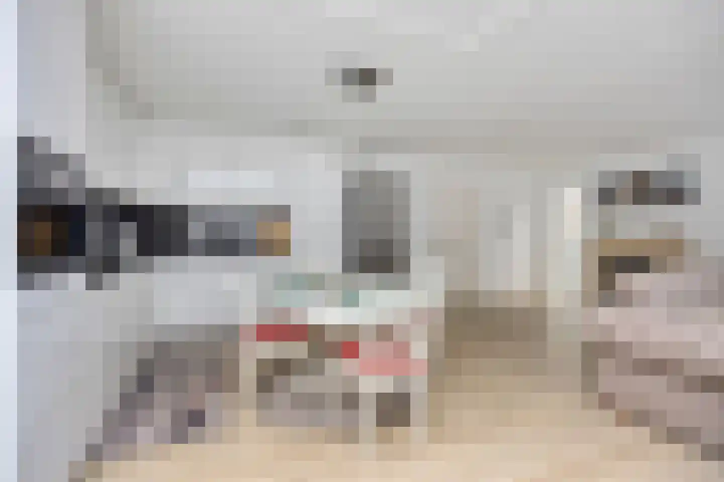 Turnhoutplantsoen 9 Amsterdam thumbnail 10