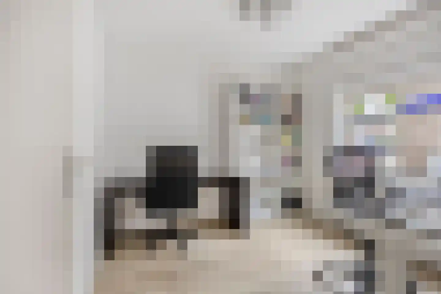 Turnhoutplantsoen 9 Amsterdam thumbnail 15