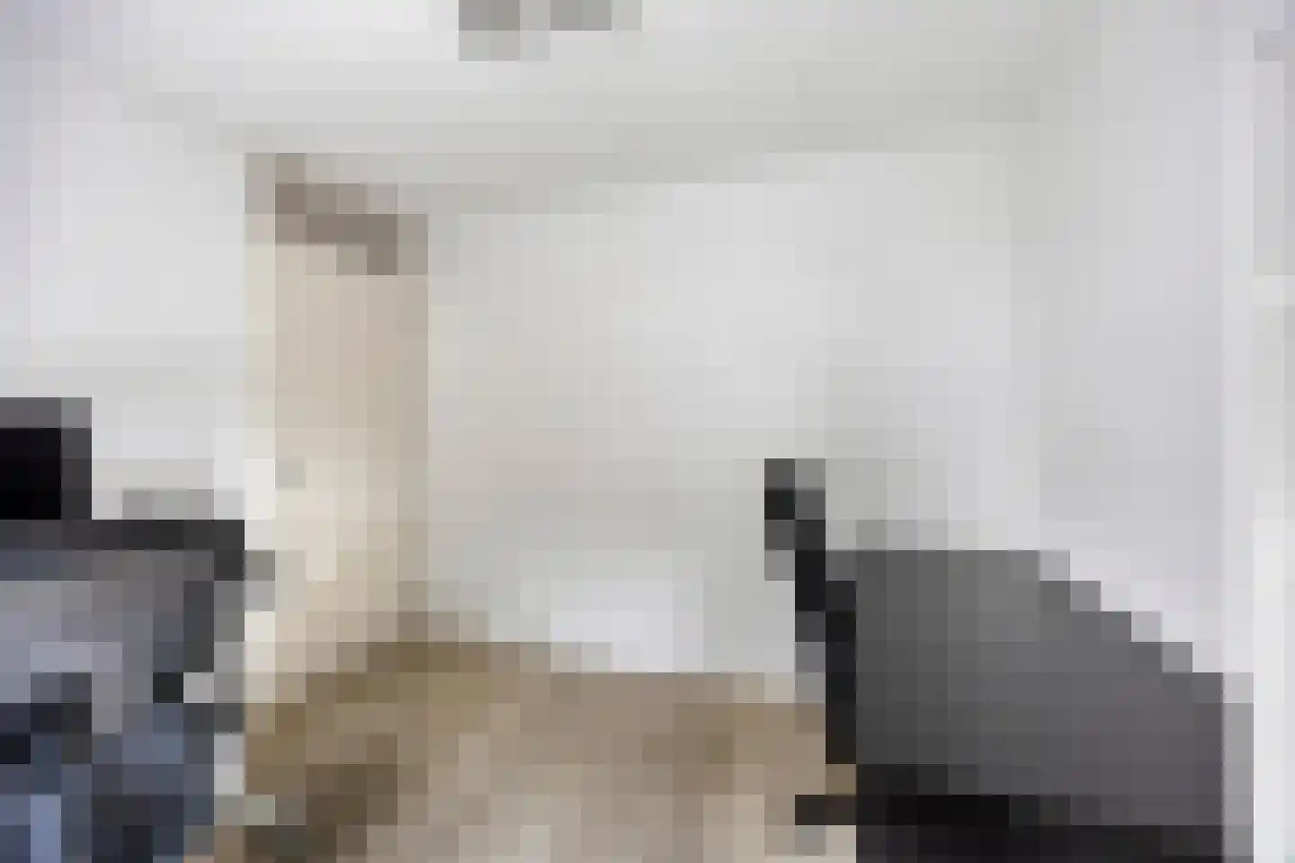 Turnhoutplantsoen 9 Amsterdam thumbnail 16