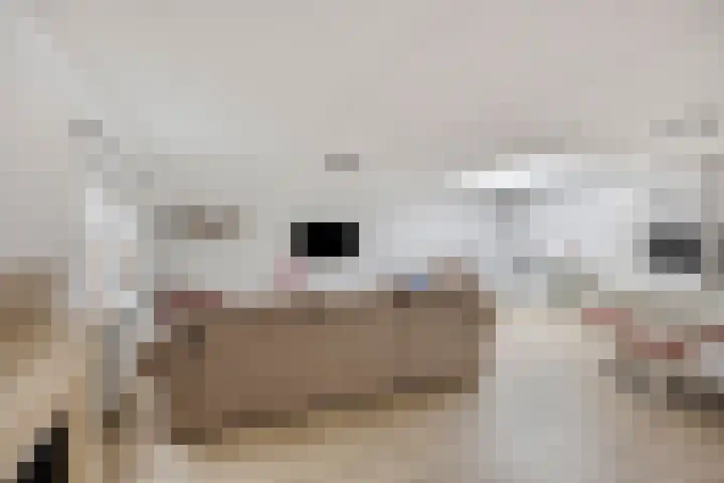 Turnhoutplantsoen 9 Amsterdam thumbnail 7