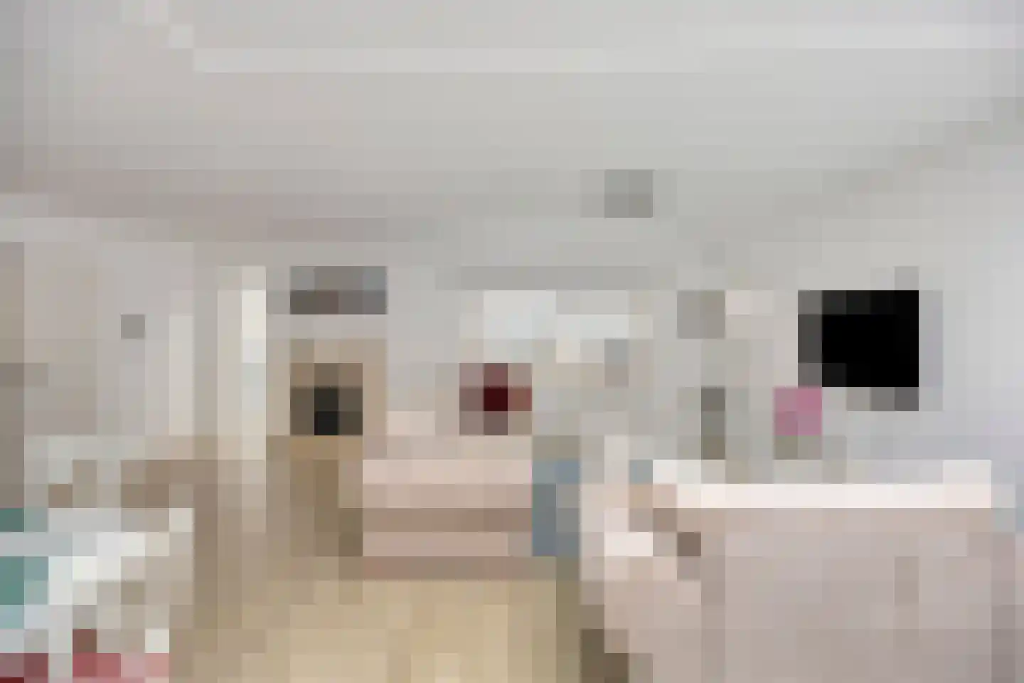 Turnhoutplantsoen 9 Amsterdam thumbnail 8
