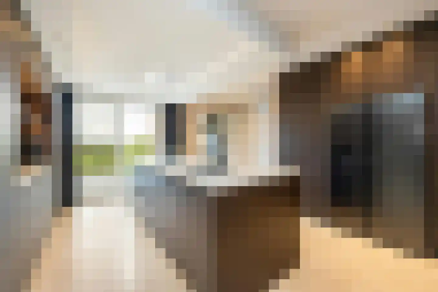 Turnhoutsebaan 195 Goirle thumbnail 14