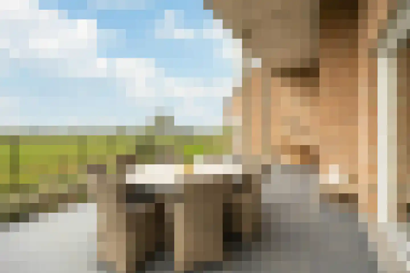 Turnhoutsebaan 195 Goirle thumbnail 5