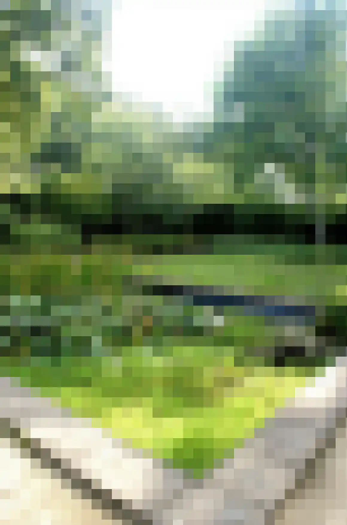 Turnhoutsebaan 23 Goirle thumbnail 16