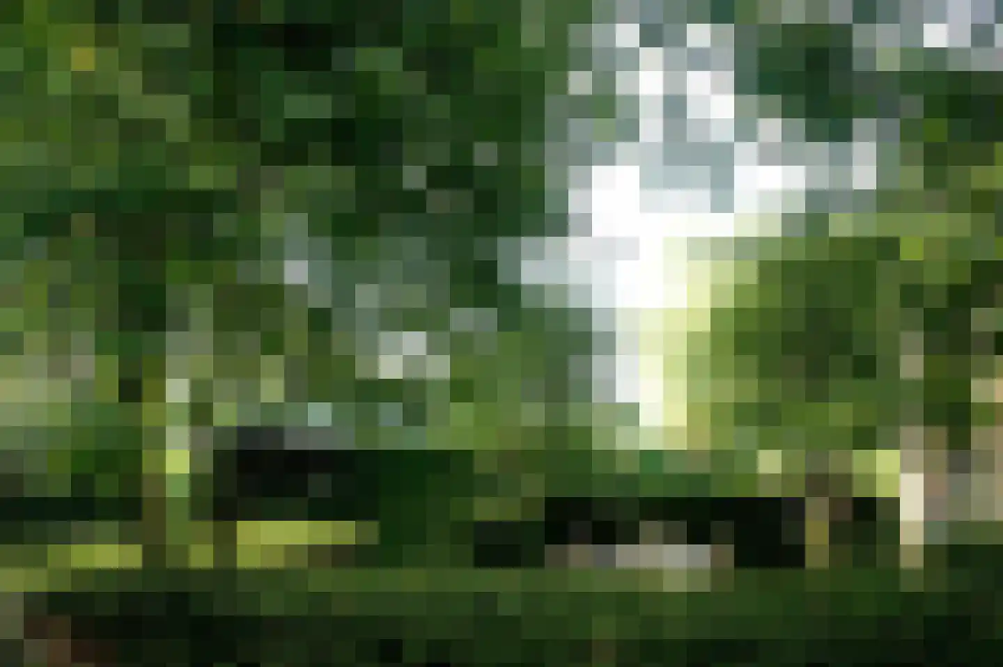 Turnhoutsebaan 23 Goirle thumbnail 17