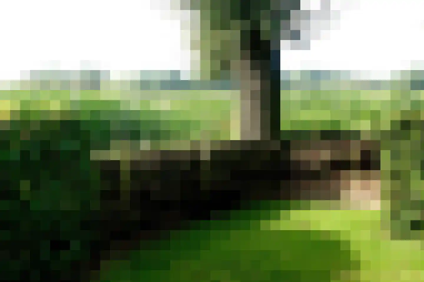 Turnhoutsebaan 23 Goirle thumbnail 18