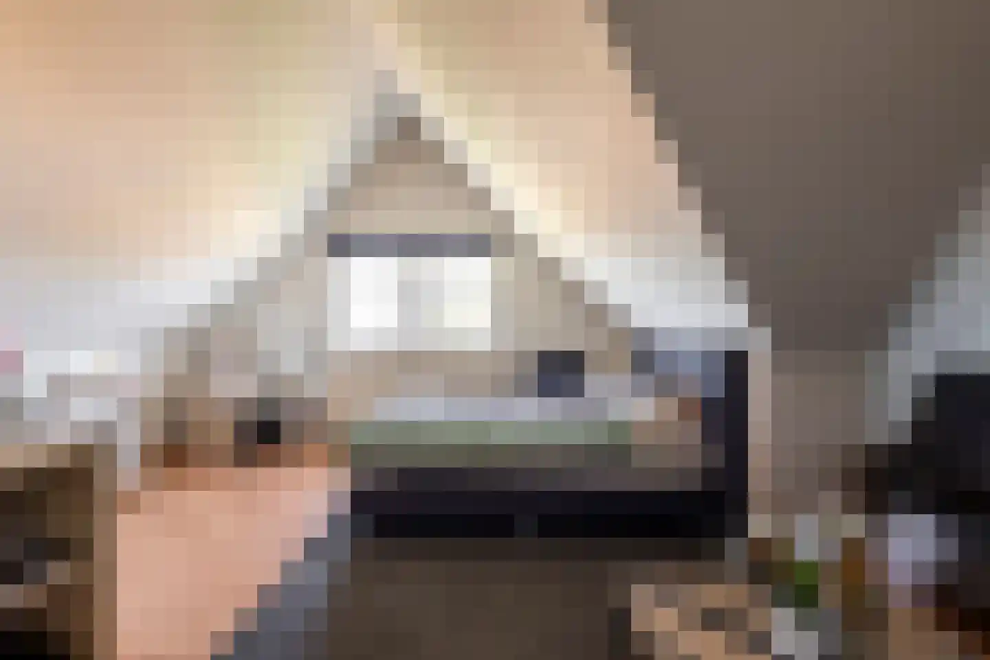 Turnhoutsebaan 6 Goirle thumbnail 13
