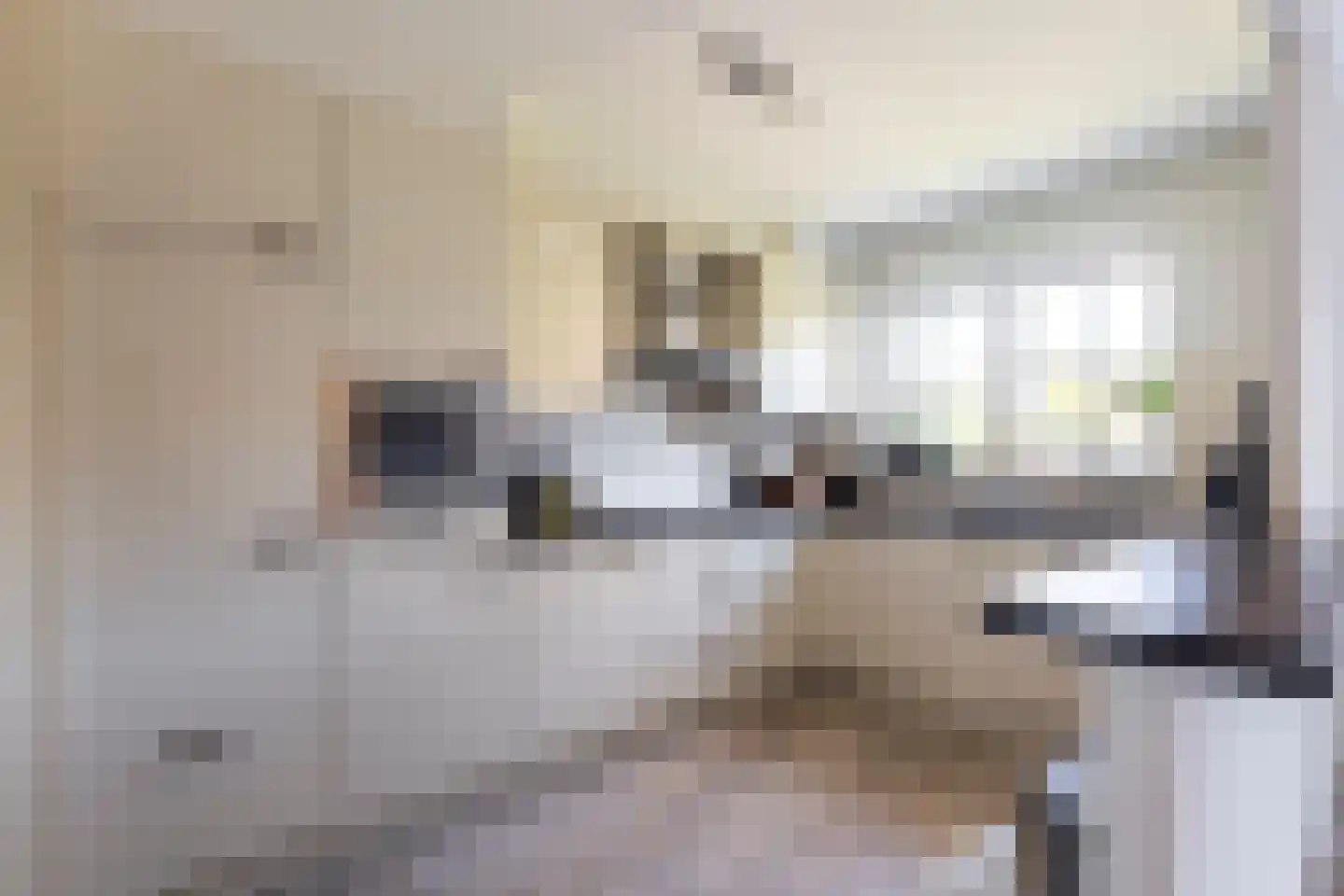 Turnhoutsebaan 6 Goirle thumbnail 5