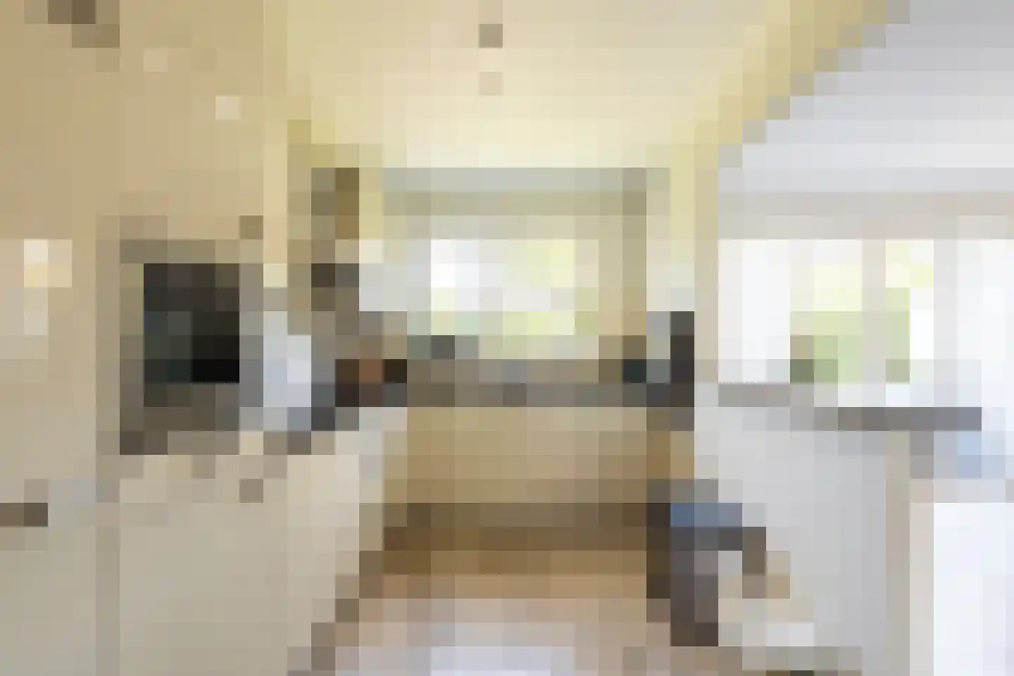 Turnhoutsebaan 6 Goirle thumbnail 6