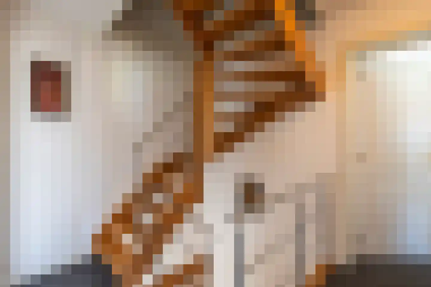 Turnhoutsebaan 6 Goirle thumbnail 7