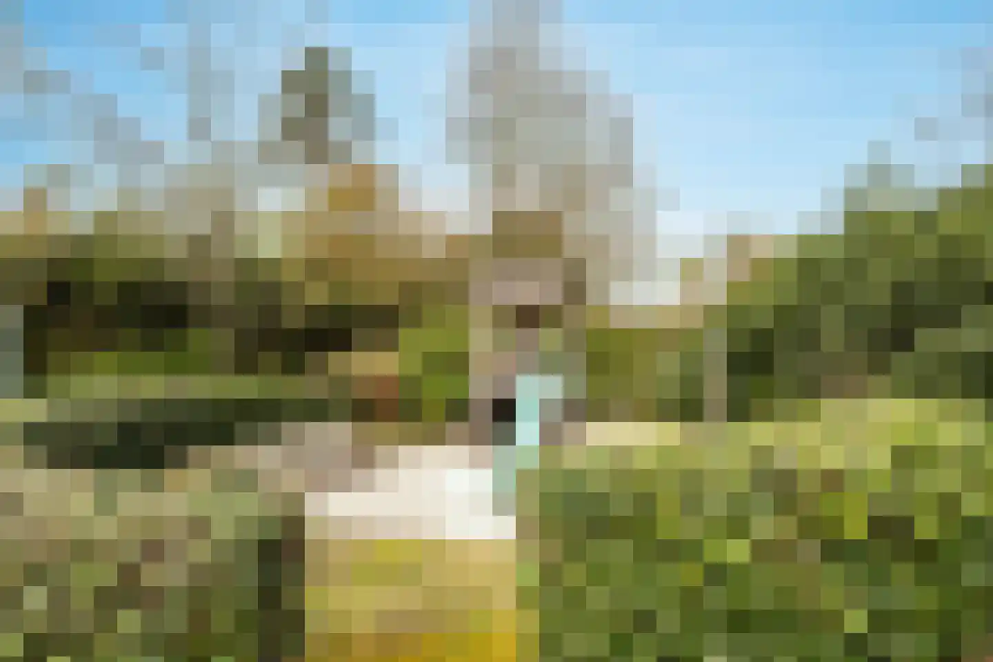 Turnhoutseweg 11 Reusel thumbnail 23