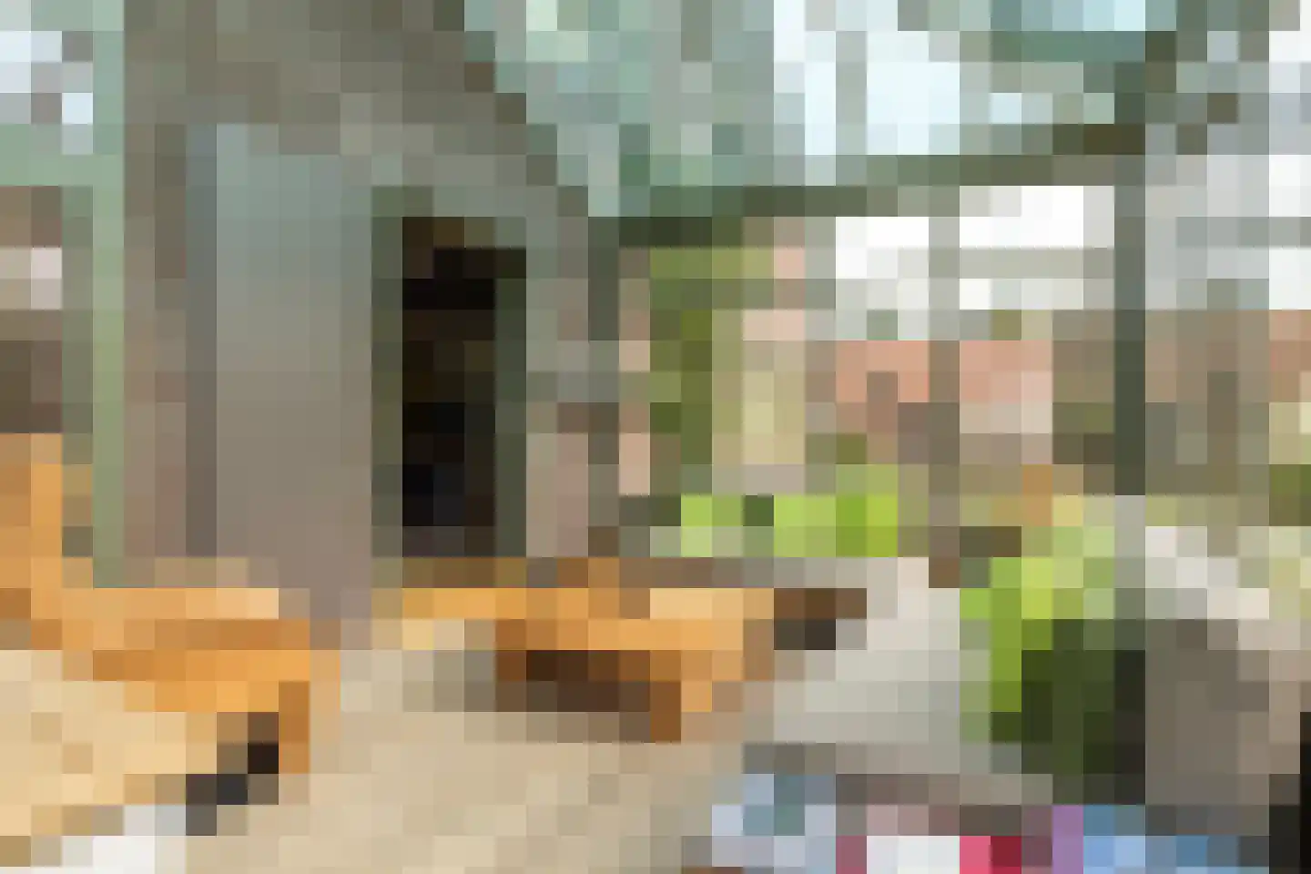 Turnhoutseweg 11 Reusel thumbnail 7