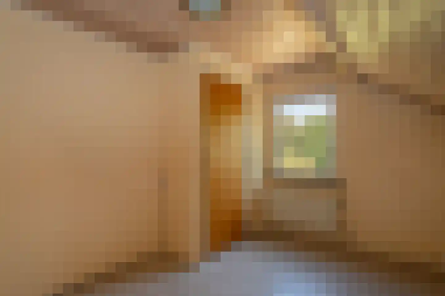 Turnhoutseweg 30 Reusel thumbnail 20