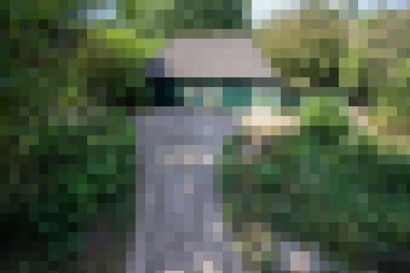 Turnhoutseweg 30 Reusel thumbnail 30