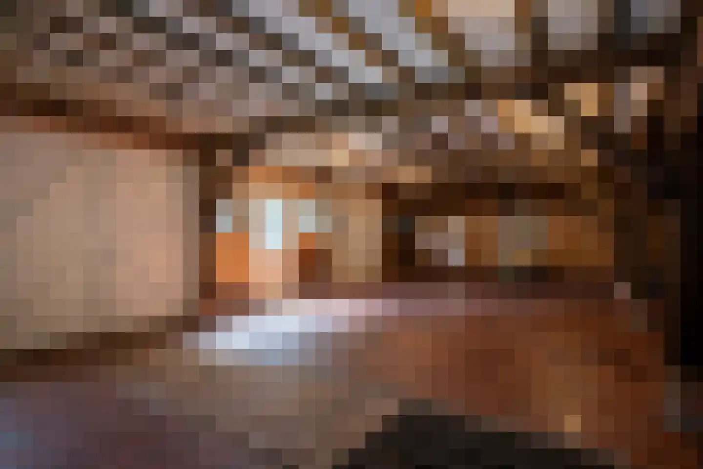 Turnhoutseweg 30 Reusel thumbnail 32