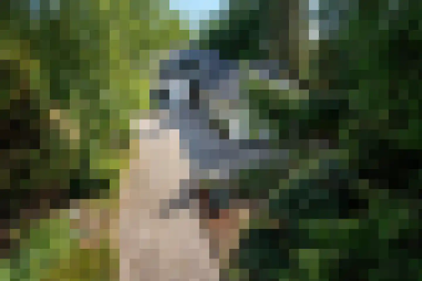 Turnhoutseweg 30 Reusel thumbnail 34