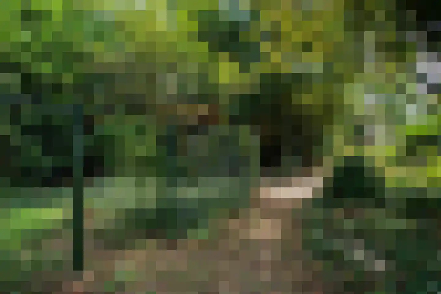 Turnhoutseweg 30 Reusel thumbnail 35