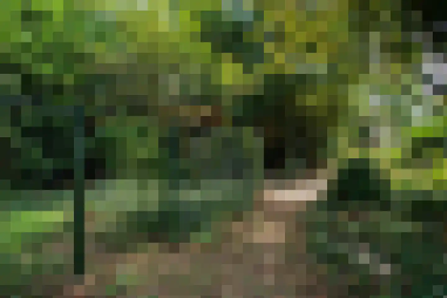 Turnhoutseweg 30 Reusel thumbnail 35