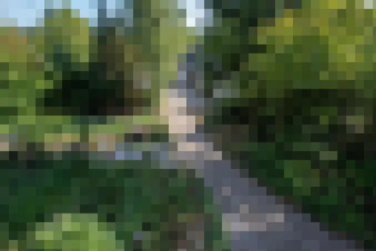 Turnhoutseweg 30 Reusel thumbnail 36