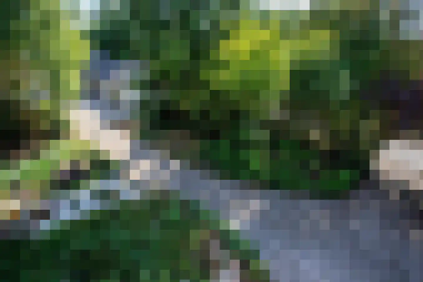 Turnhoutseweg 30 Reusel thumbnail 37
