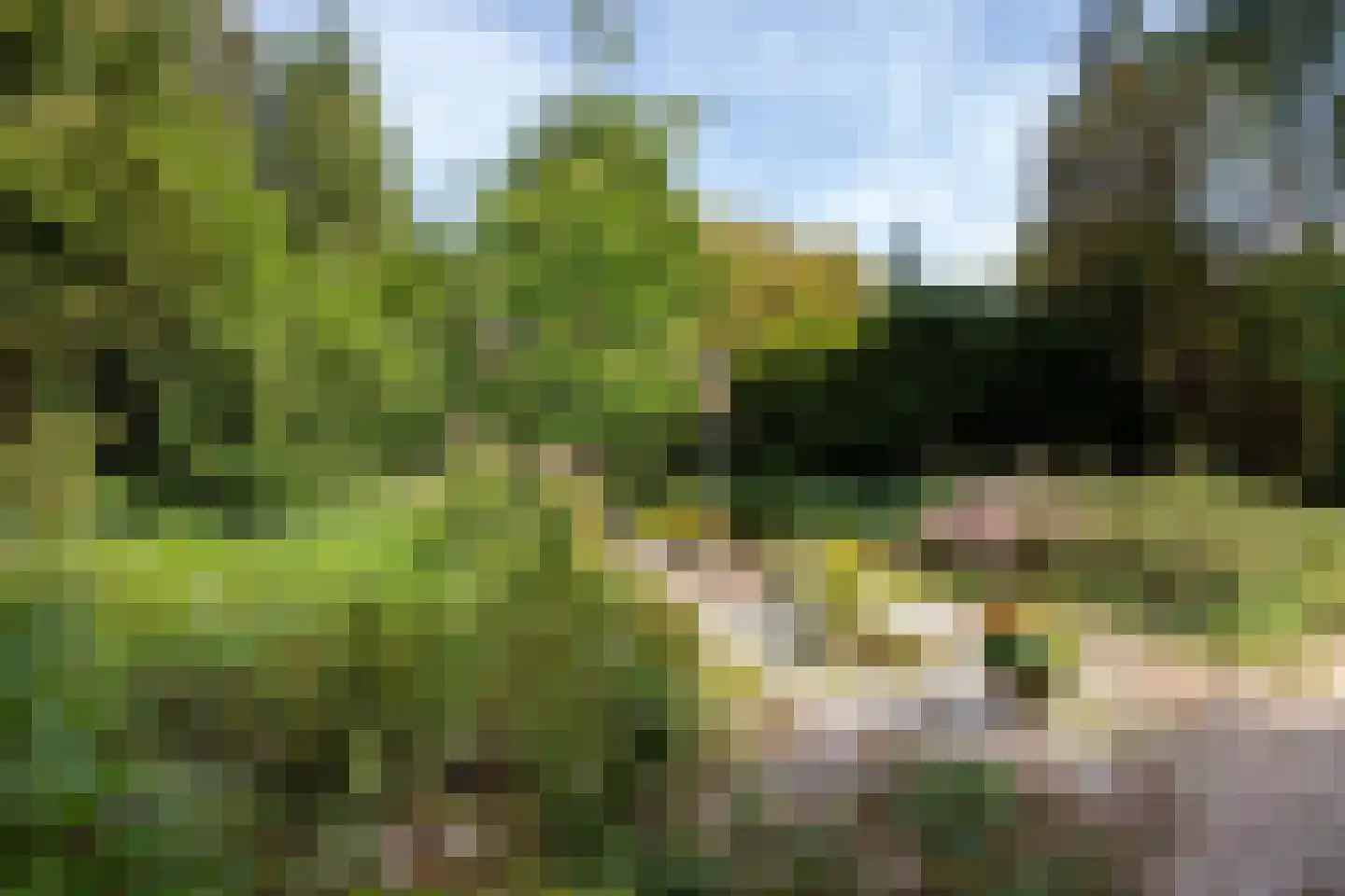 Turnhoutseweg 30 Reusel thumbnail 38