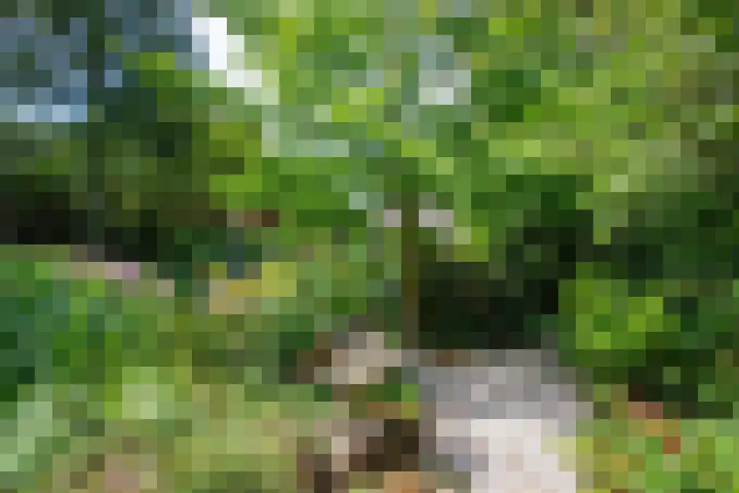 Turnhoutseweg 30 Reusel thumbnail 39