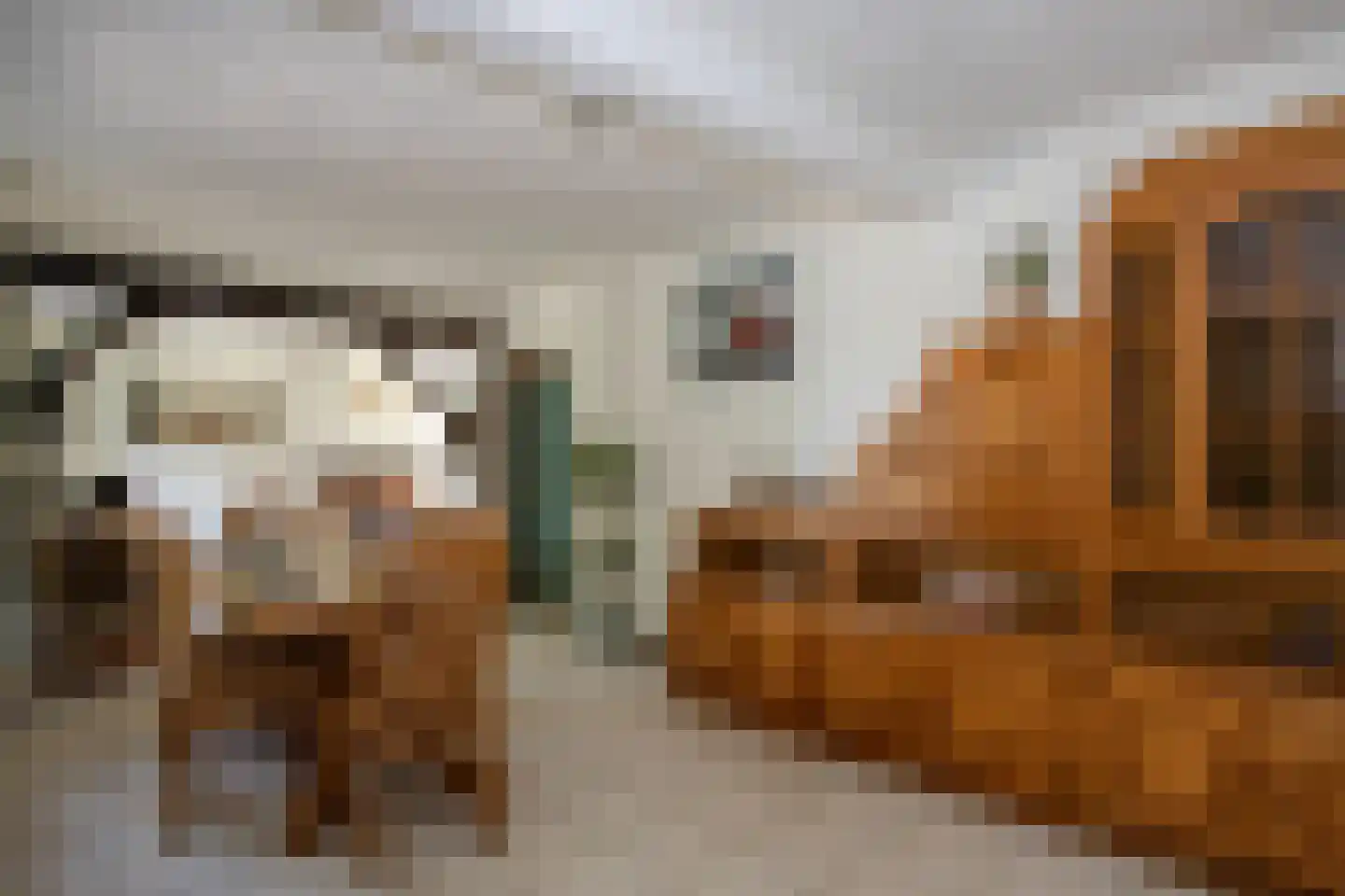 Turnhoutseweg 30 Reusel thumbnail 7