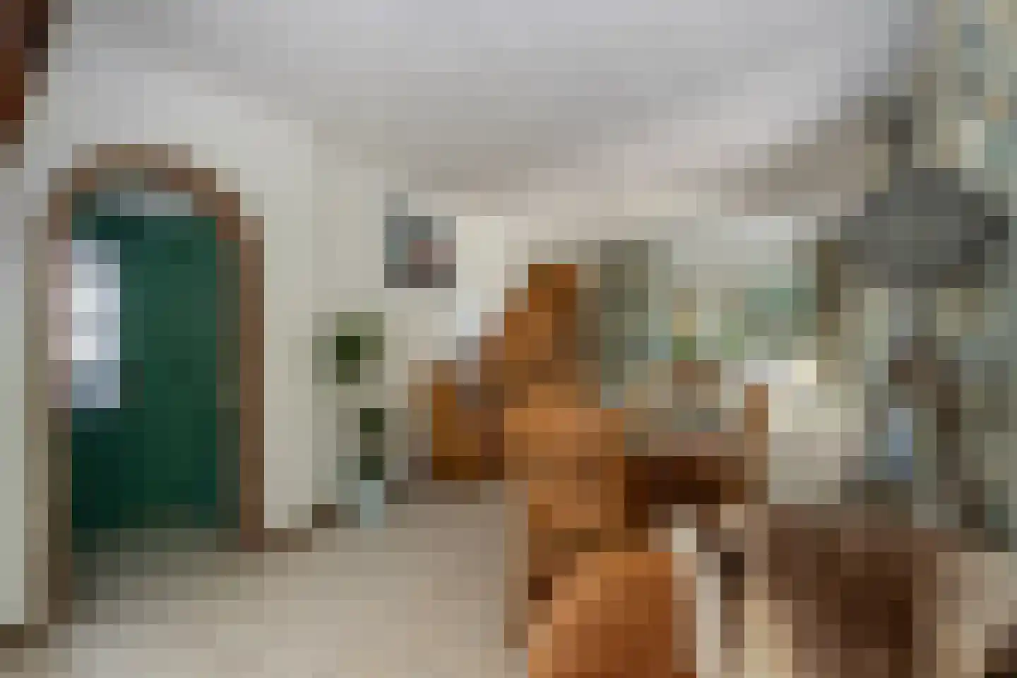 Turnhoutseweg 30 Reusel thumbnail 8