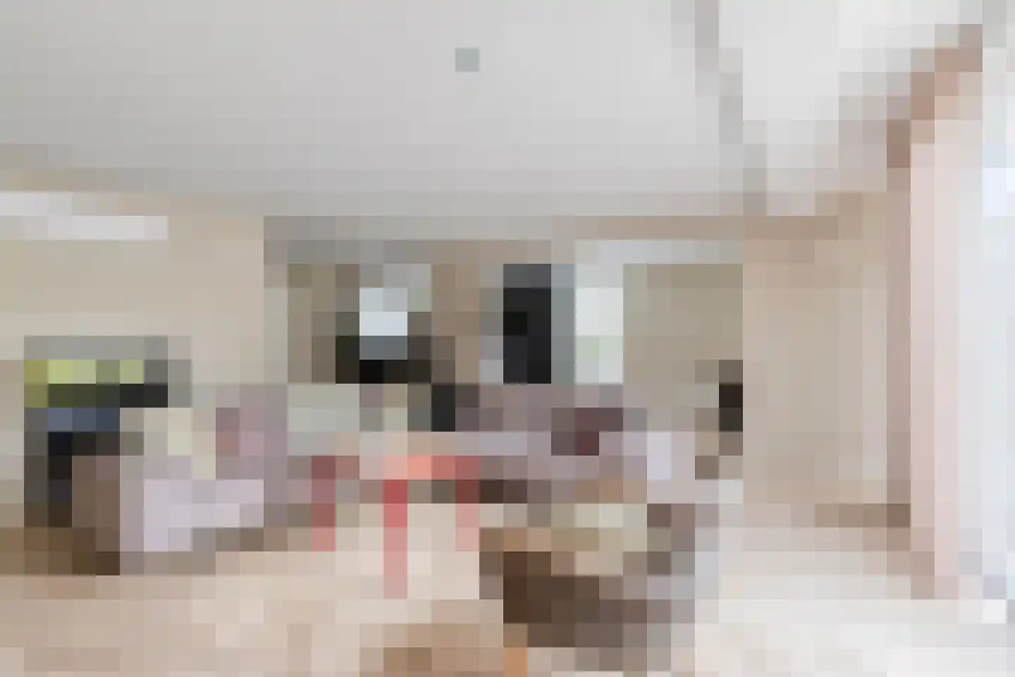 Turnuspad 24 Eindhoven thumbnail 10