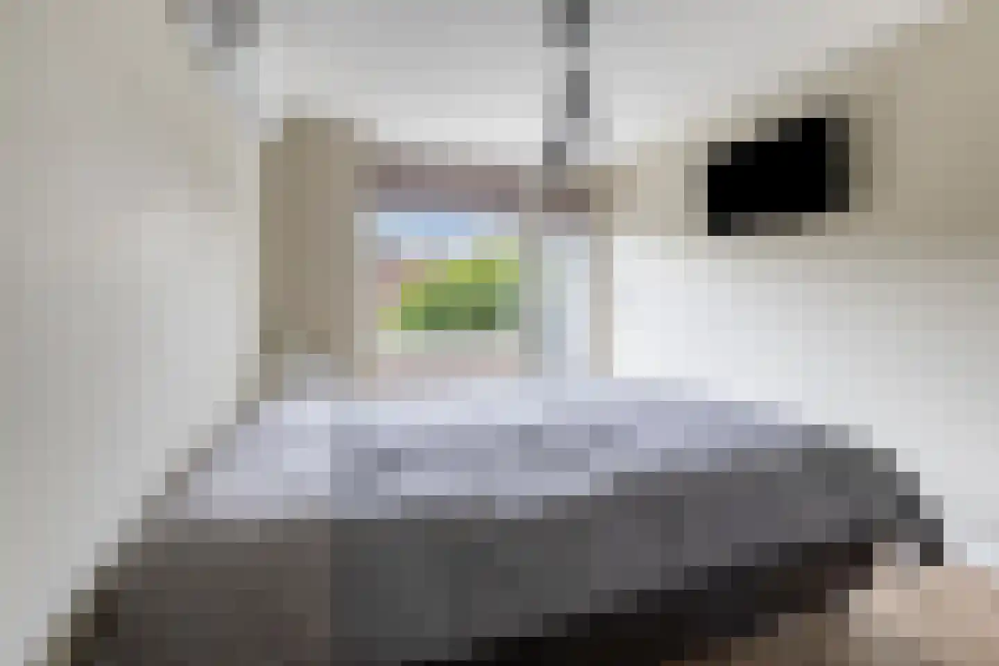 Turnuspad 24 Eindhoven thumbnail 22