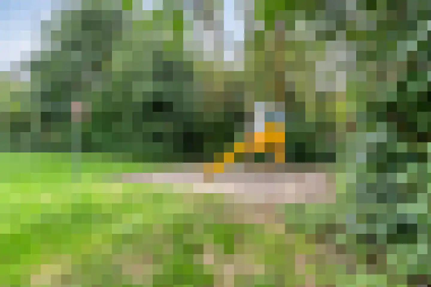 Turnuspad 24 Eindhoven thumbnail 38