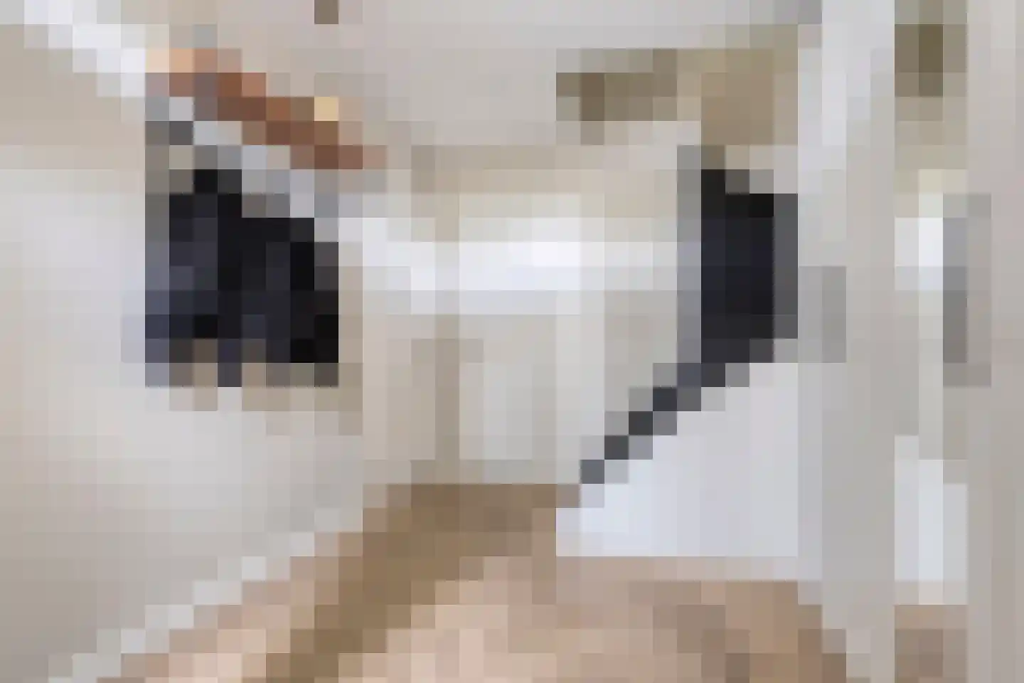 Turnuspad 24 Eindhoven thumbnail 5