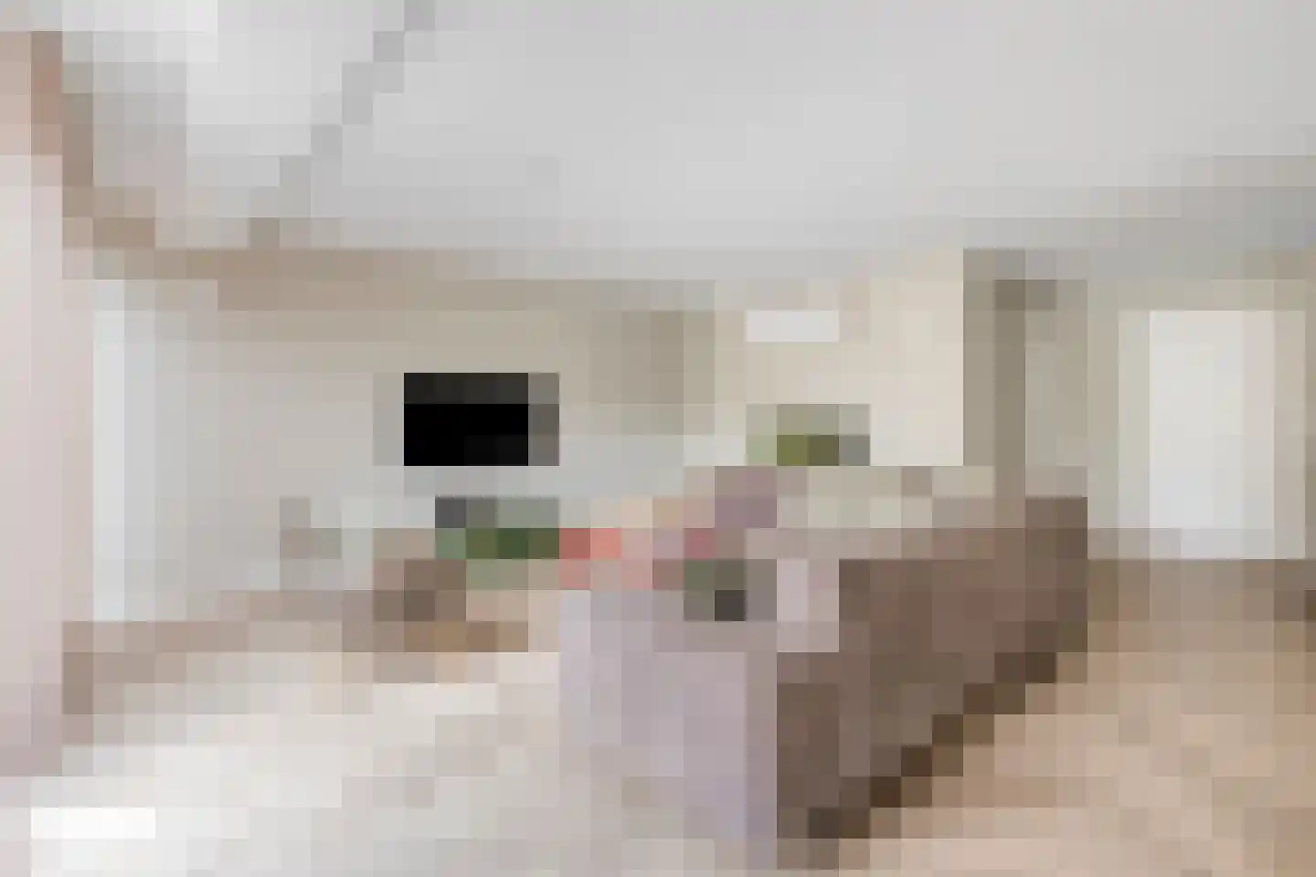 Turnuspad 24 Eindhoven thumbnail 9
