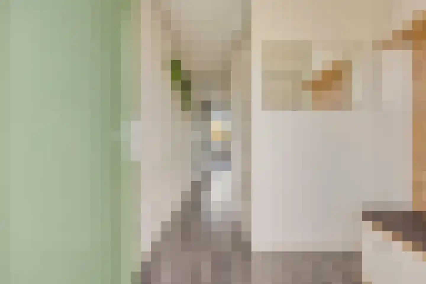 Turpijnplaats 26 Amersfoort thumbnail 24