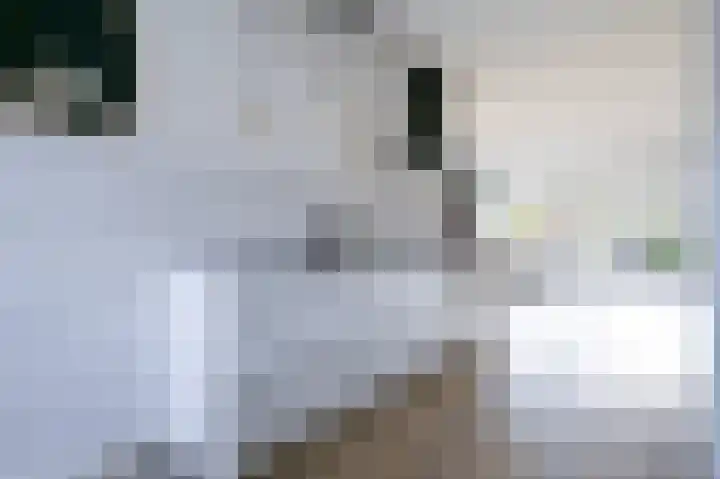 Turpijnplaats 61 Amersfoort thumbnail 5