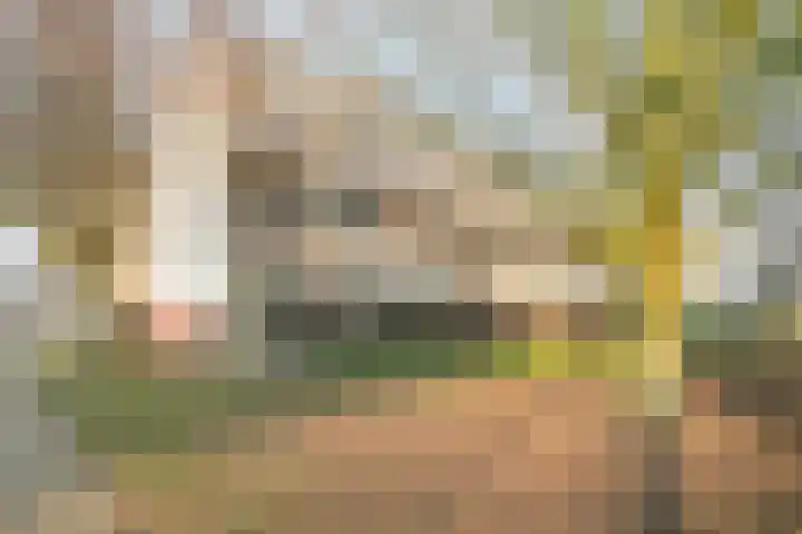 Turpijnplaats 7 Amersfoort thumbnail 24