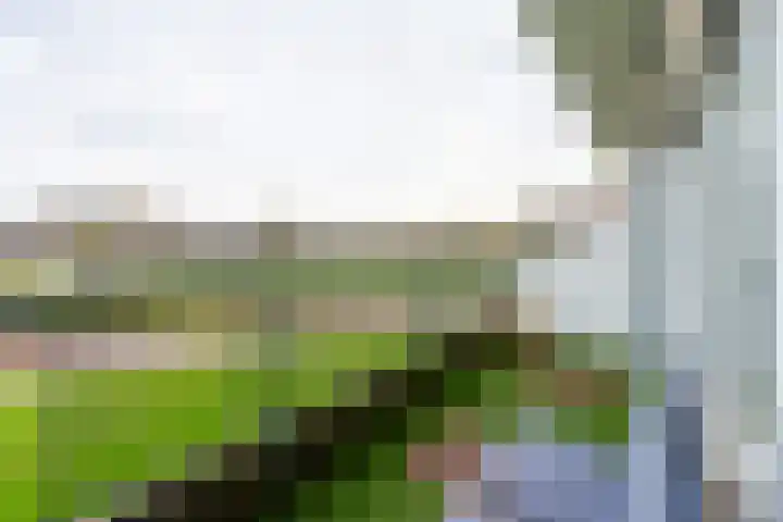 Turpijnplaats 8 Amersfoort thumbnail 13