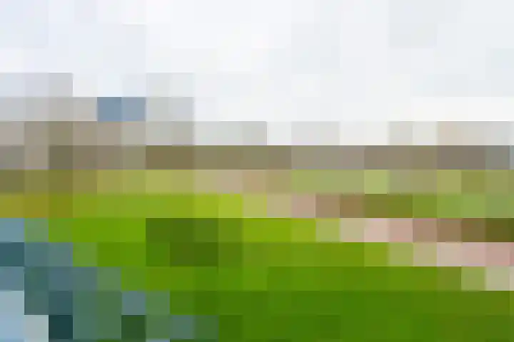 Turpijnplaats 8 Amersfoort thumbnail 14