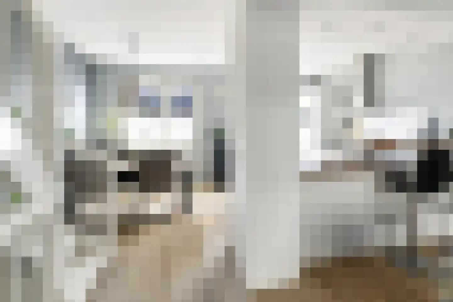 Turresstraat 21 Naaldwijk thumbnail 10