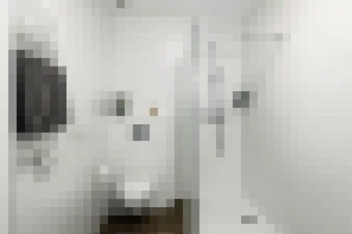 Turresstraat 21 Naaldwijk thumbnail 21
