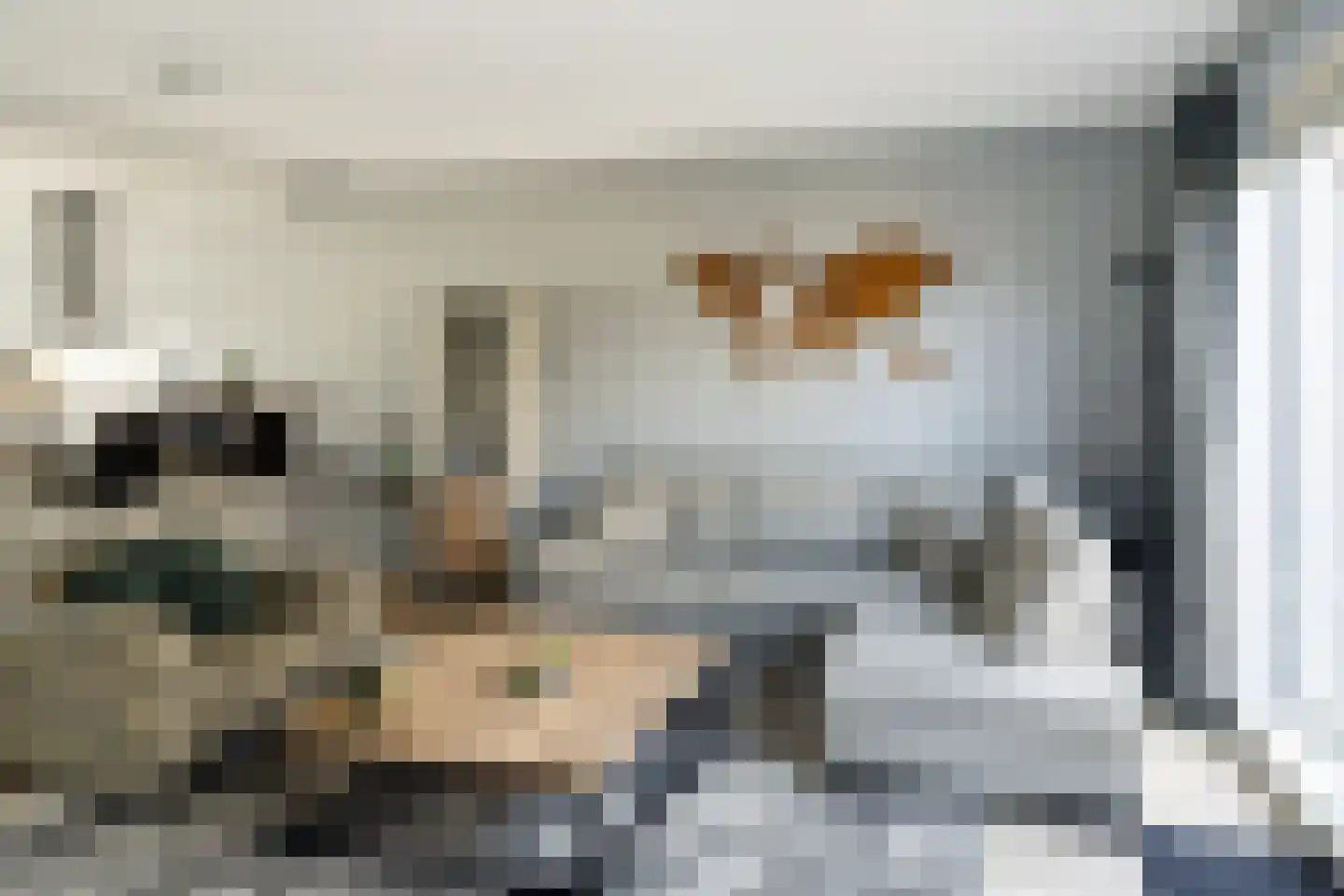 Turresstraat 21 Naaldwijk thumbnail 4