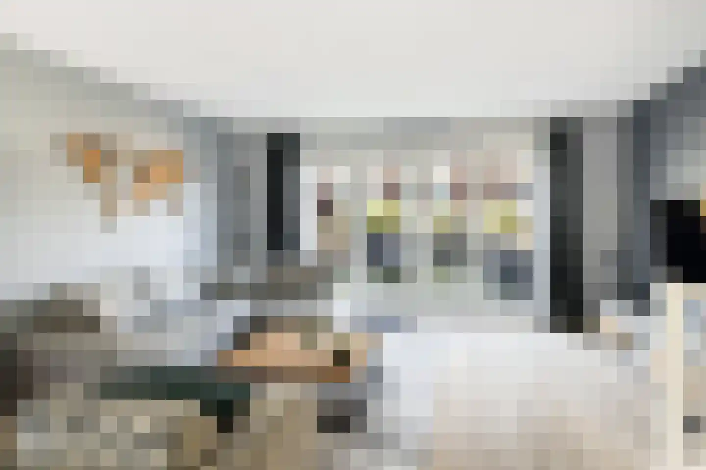 Turresstraat 21 Naaldwijk thumbnail 5