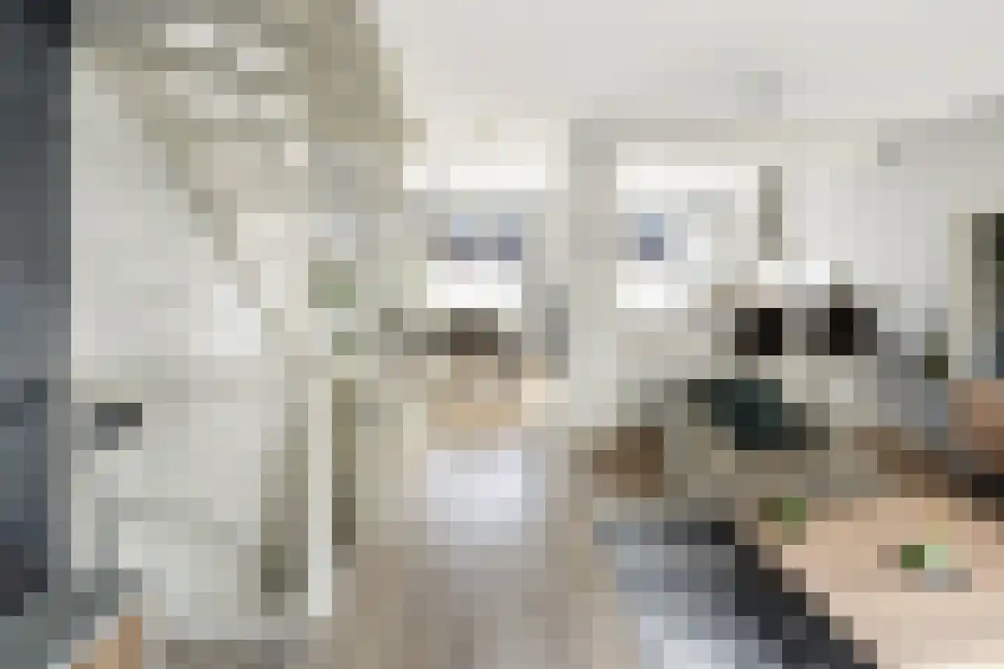 Turresstraat 21 Naaldwijk thumbnail 9