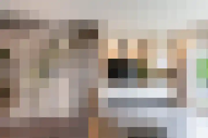 Turresstraat 23 Naaldwijk thumbnail 7