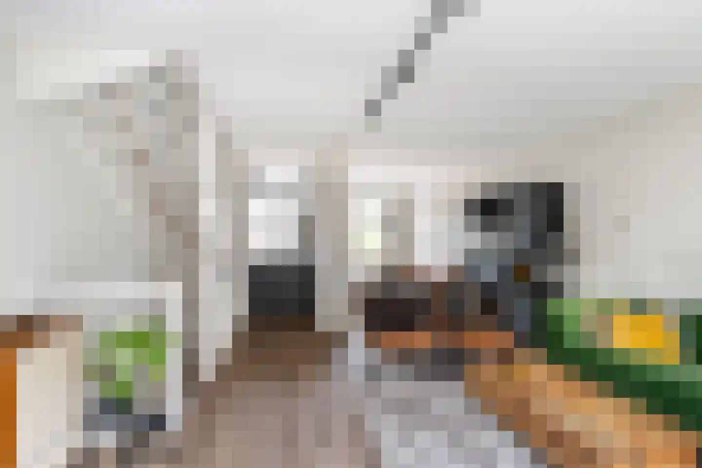 Turresstraat 9 Naaldwijk thumbnail 17