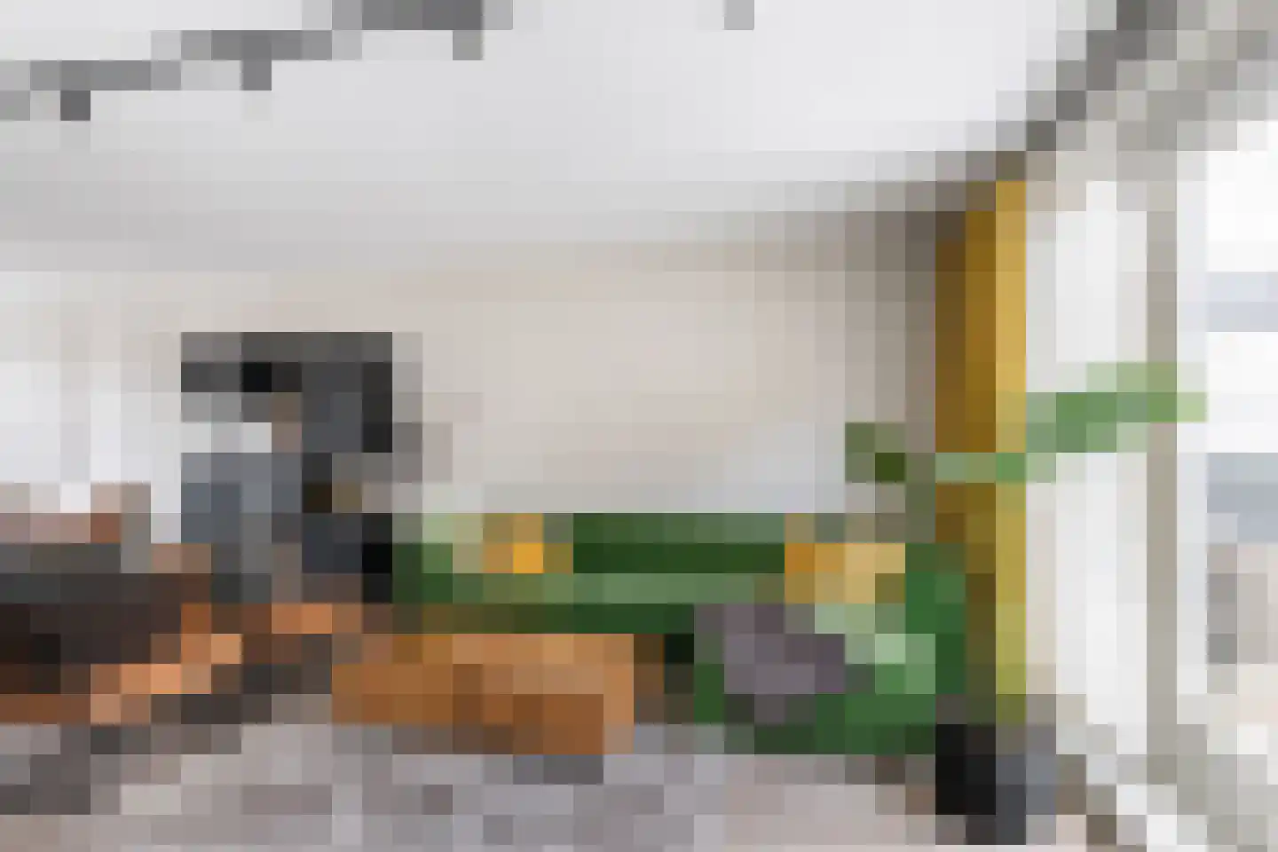 Turresstraat 9 Naaldwijk thumbnail 9