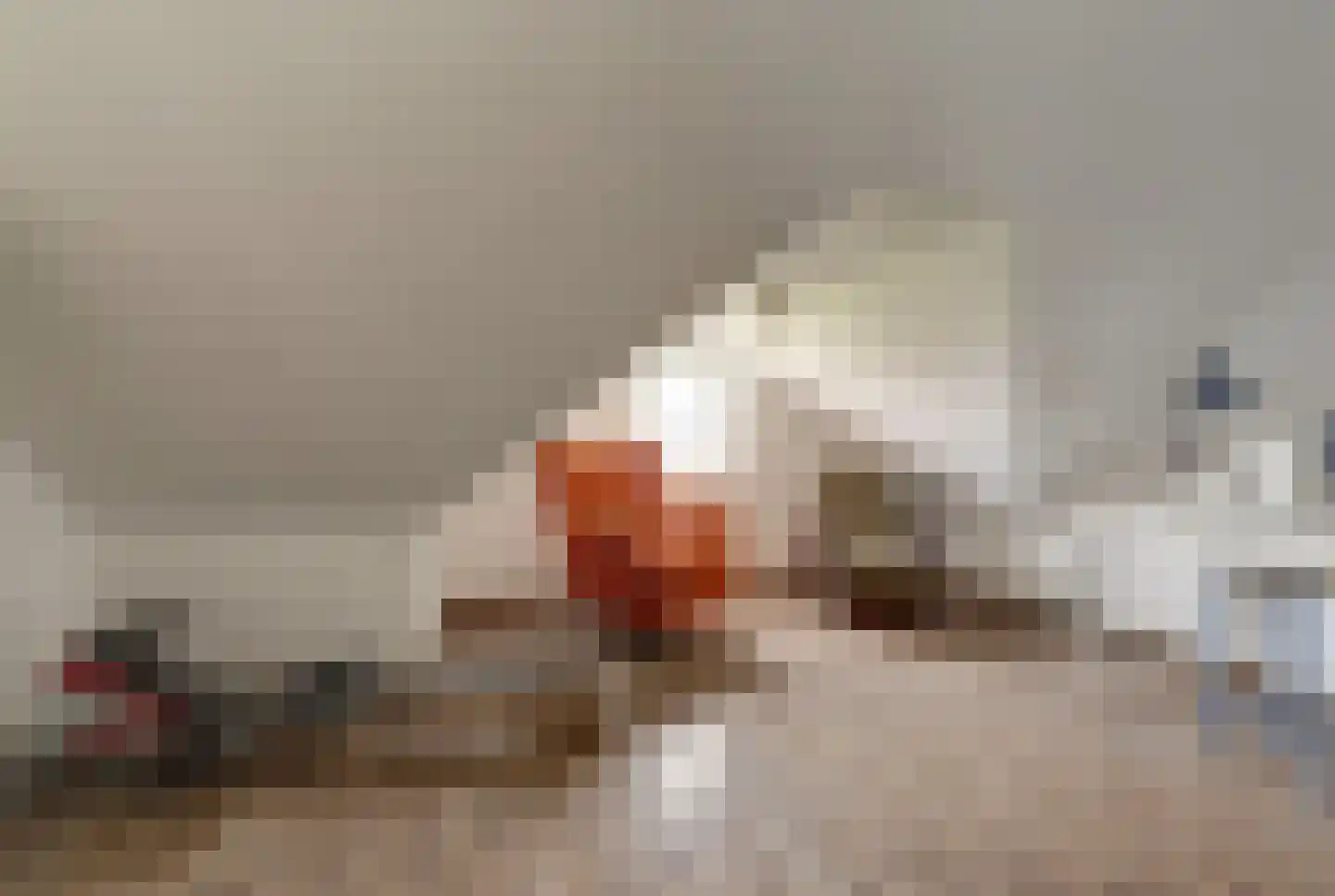 Turris 6 Elst thumbnail 36