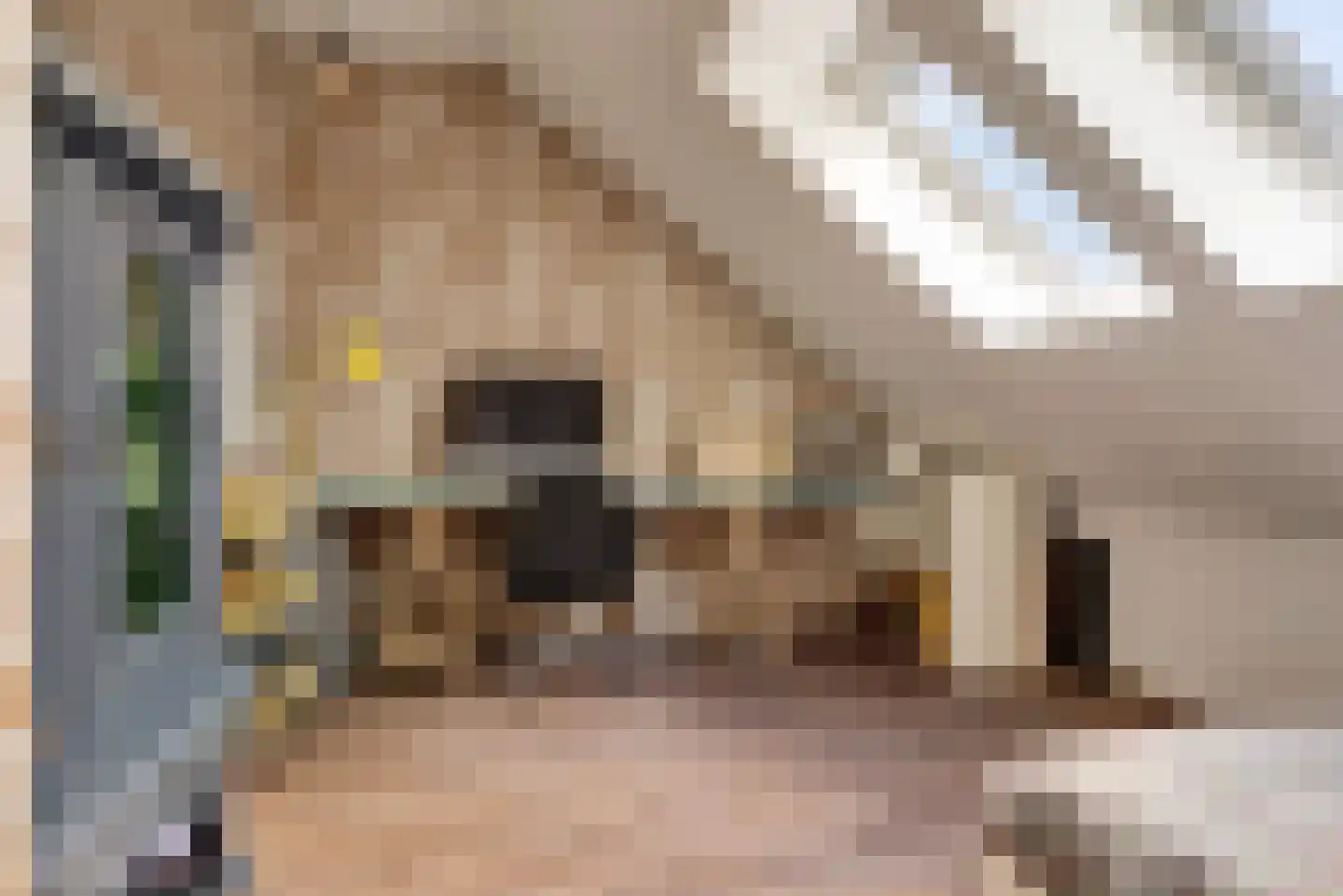 Turris 6 Elst thumbnail 42